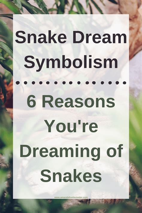 The Snake in My Dream: A Symbol of Transformation